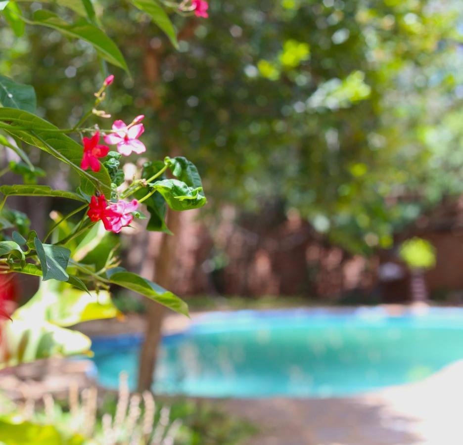 Mawuya Lodge Водопад Виктория Экстерьер фото